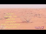 شمر الجربا - عتابة نجوم سوريا - عدنان الجبوري - عبدالرزاق الجبوري