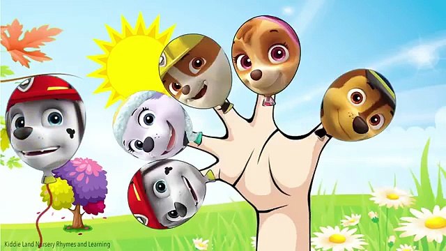 PAW PATROL Finger Family Balloons Nursery Rhymes Paw Patrol Daddy Finger