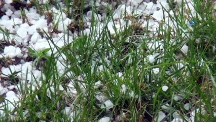 Aniden bastıran dolu kenti beyaza bürü