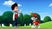 Paw Patrol English Pup Pup Goose Pup Pup and Away part 16 brief E