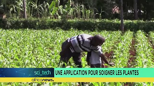 Une application pour soigner les plantes [Sci-tech]