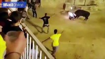 Turista brutalmente atacado por touro com chifres em chamas