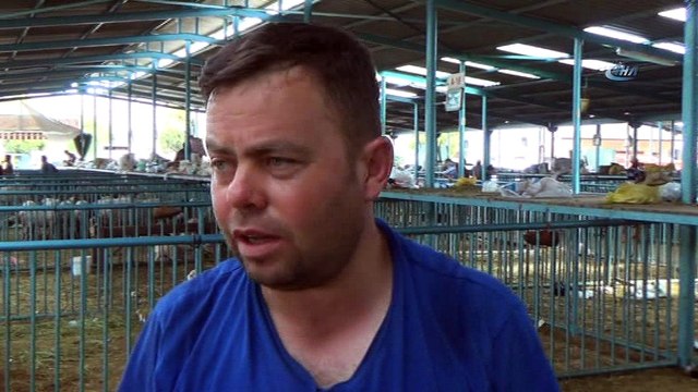 Canlı hayvan pazarında hareketlilik devam ediyor