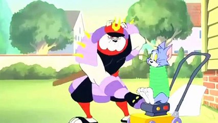 Tom and Jerry - Cartoon Karate Guard