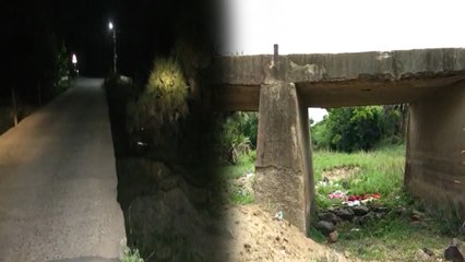 The story of Palayanur road bridge  அந்தப் பாலத்து மேல மட்டும் வேணாம்.. ப்ளீஸ்!