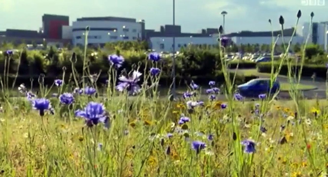 How Scotland Works S01 - Ep03 21st Century Scots - Part 01 HD Watch