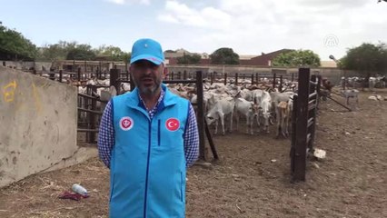 Tdv'den Senegal'de 63 Bin Kişiye Kurban Yardımı