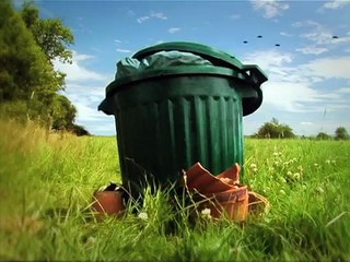 Minuscule Lady Bug / La Coccinelle (Season 1)