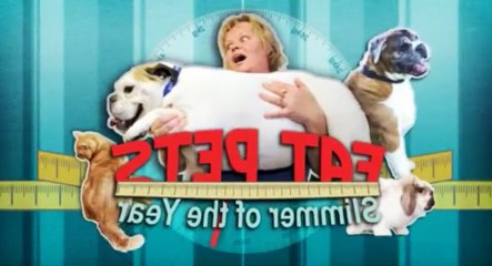 Fat Pets - Slimmer of the Year S01 - Ep05  5 HD Watch