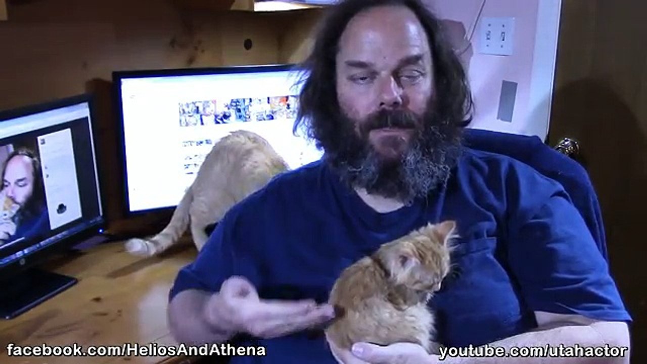 Quick Tip of Day: How To Hold A #Kitten