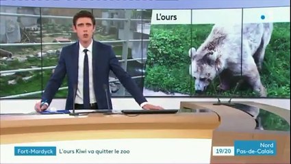 "L'ours" du film de Jean-Jacques Annaud, en mauvaise santé sera déplacé... mais pas avant un an