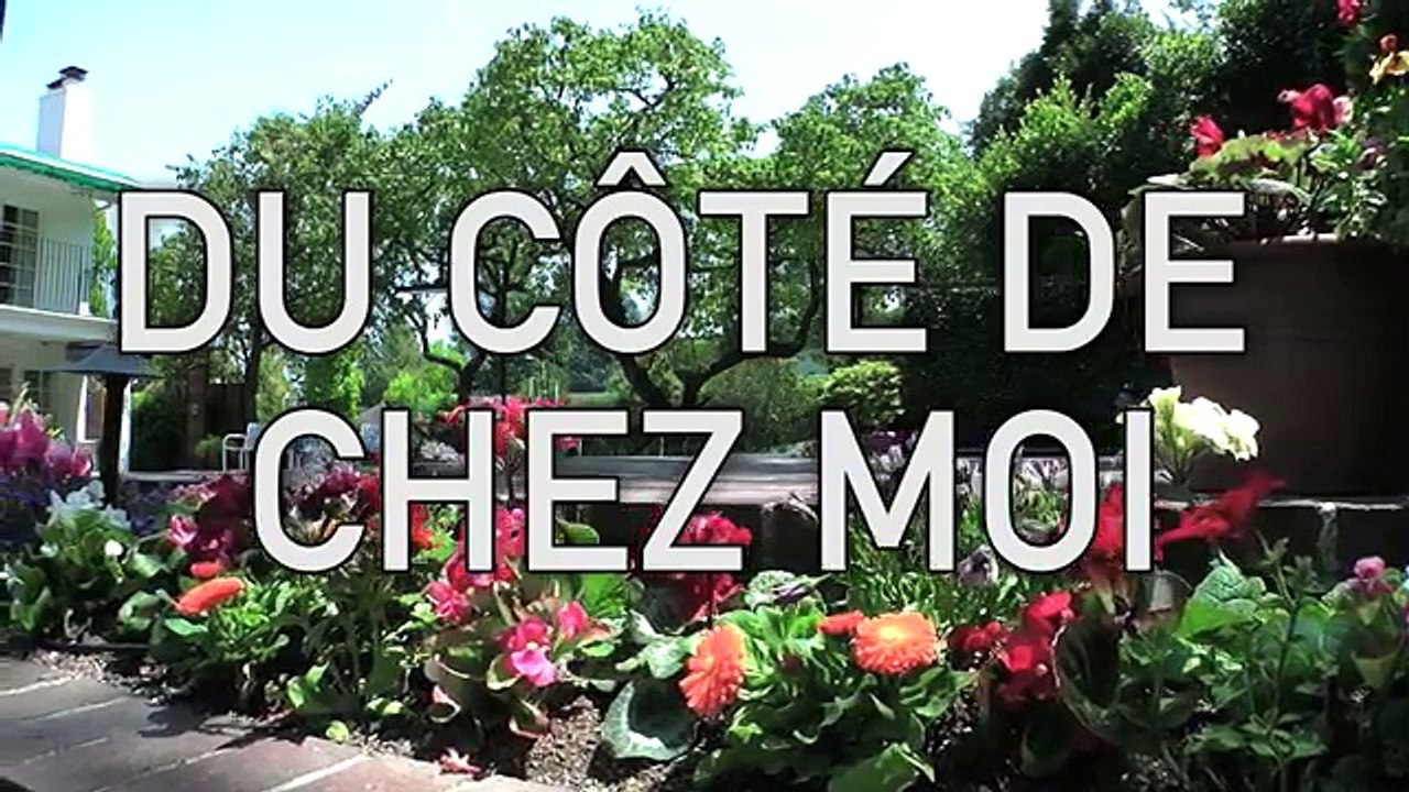 MISTER V AVOIR UN GOSSE