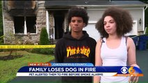 Family Mourns Loss of Puppy Who Helped Them Escape House Fire