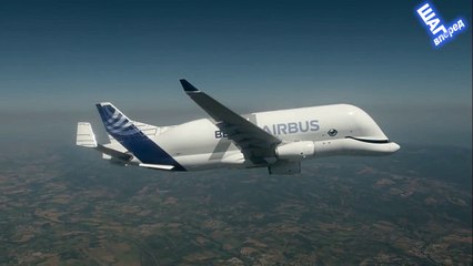 Beluga XL - a new flying truck from Airbus