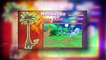 Goupix de Glace, Kamehameha et 11 Pokémon en + : Folie !