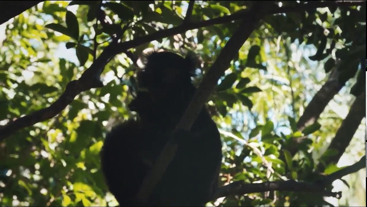 Hamilton's Pharmacopeia 05 Fish N’ Trips Vice Media (2016