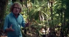 Te Radar Chequered Past S01  E04 The Great Unknown
