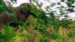 Bear Grylls Misson Survive S02  E04 E 4 - Part 02