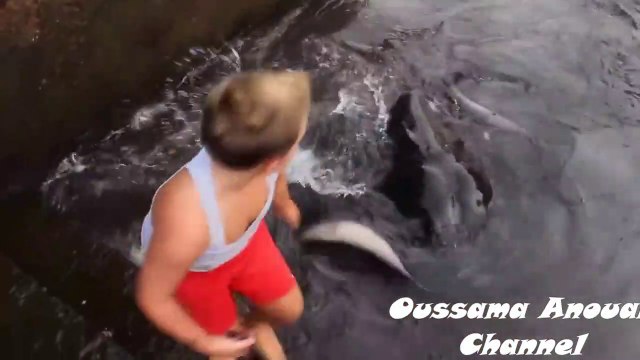 Des enfants viennent nourrir une raie énorme