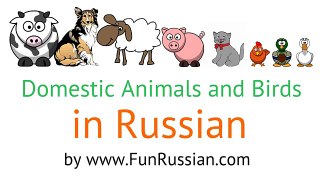 Learn Russian Words: Domestic Animals and Birds in Russian