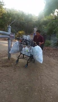 Ce SDF dévale une pente sur un caddie... Fou