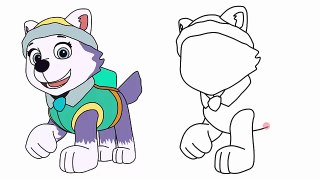 How to draw Everest from Paw Patrol charers step by step