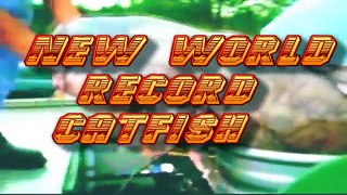 new world record biggest catfish new
