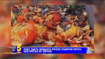 Woman's Prized Pumpkin Patch Destroyed by Reportedly High Driver