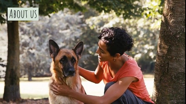 Dog Trainer In Newcastle - Go For Dog Training