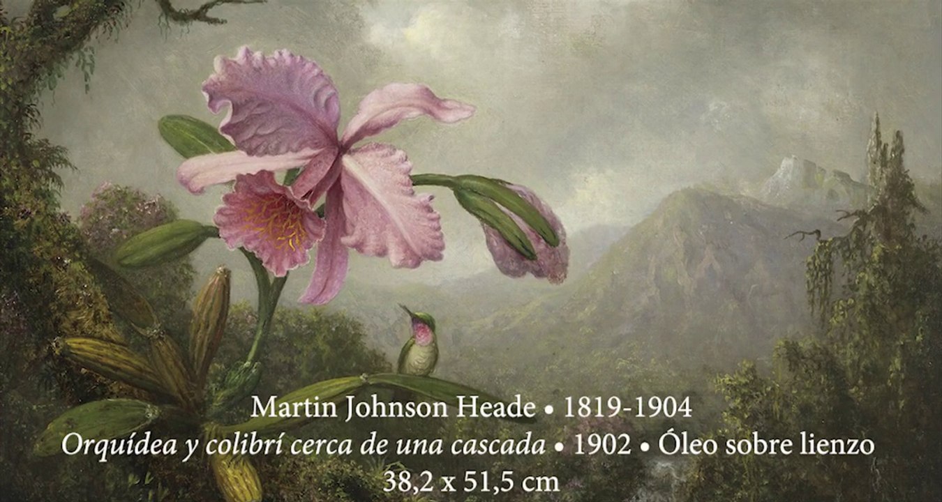 Naturaleza en evolución · Espai Carmen Thyssen · Georges Ward
