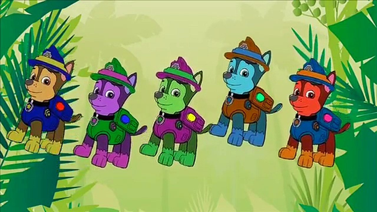 Paw Patrol Chase Jungle new Animation | Daddy Finger Nursery Rhyme Song