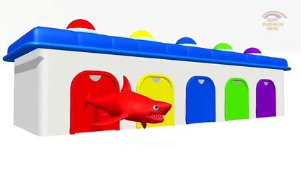 Colors for children to learn with sharks | sharks colors Songs | Colors videos for kids