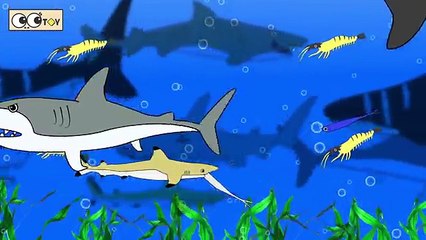 [EN] Colors for children to learn with sharks! animals animation, sharks names, collectaㅣC