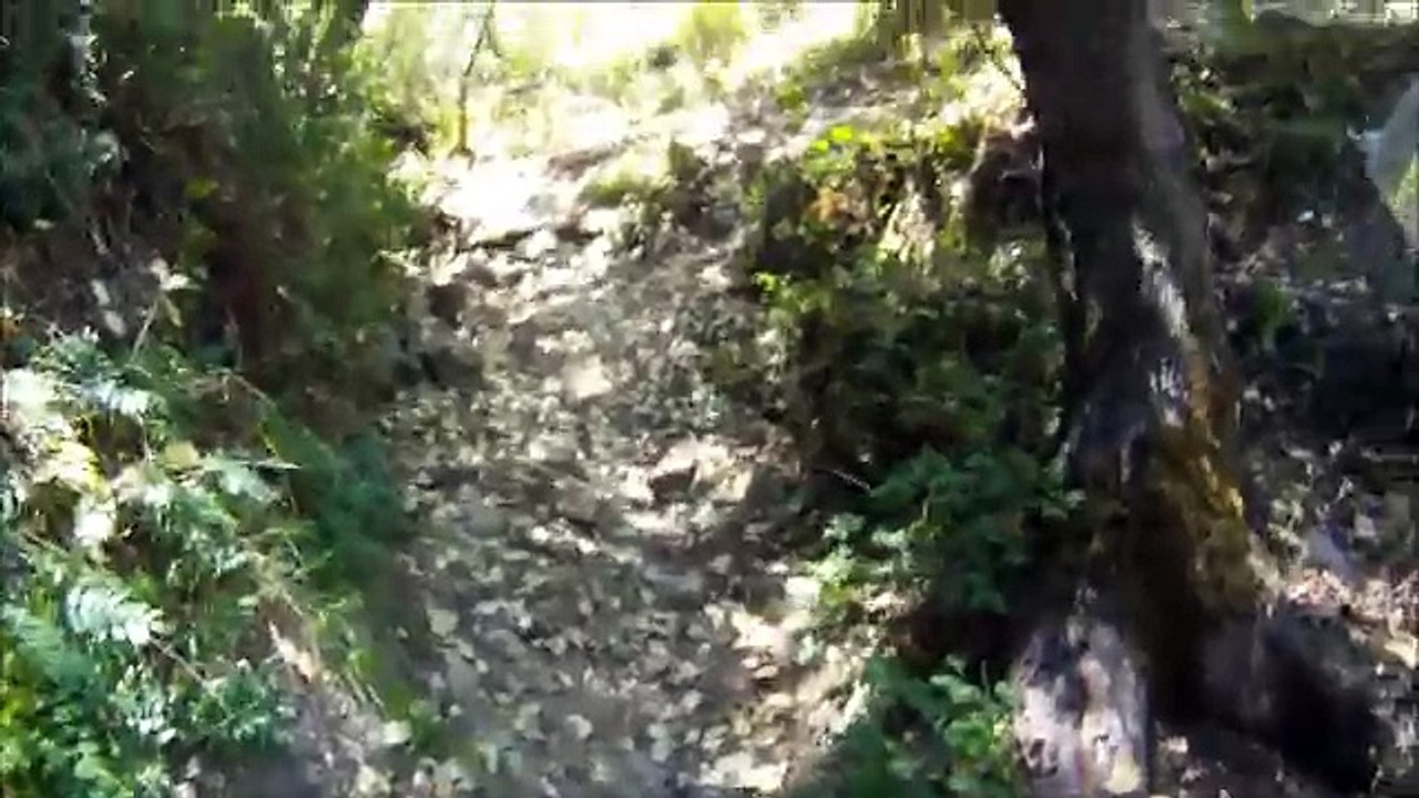 Electric dirt bike riding on extremely steep technical terrain on new Zero MXs