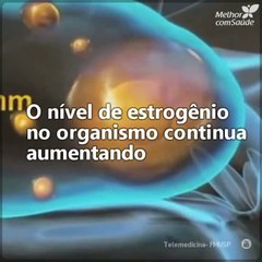 O ciclo menstrual segue um processo perfeito e interessante. Descubra-o conosco!
