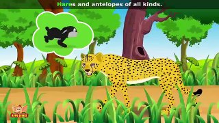 Cheetah Animal Rhymes in Ultra HD (4K)