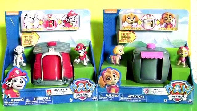 PAW PATROL Pup 2 Hero Skye & Marshall Playset Toys Surprise Mashems Fashems Toys Collectio