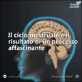 Il ciclo mestruale segue un processo perfetto e interessante, scoprilo con noi