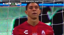 Angel Zaldivar  Goal - Guadalajara Chivas vs Necaxa 1-0