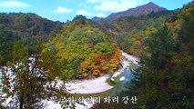 강남바퀴녀 torrent, 토렌트, 토렌토 동영상 다운로드