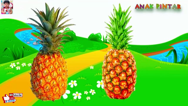 Pelajari nama Buah dan Sayuran dalam bahasa Inggris | Belajar Bahasa Inggris untuk Bayi An