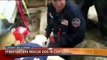 Luna the Dog Rescued After Being Stuck Under Home for Nearly 30 Hours
