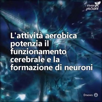 Fare sport è positivo, ma i suoi effetti non durano per sempre. Ecco cosa succede al cervello se non si è costanti...