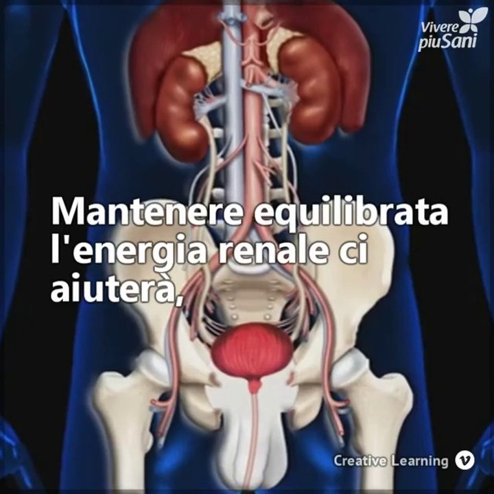 Ti sei mai chiesto qual è la relazione tra gli organi e le emozioni? Te lo spieghiamo