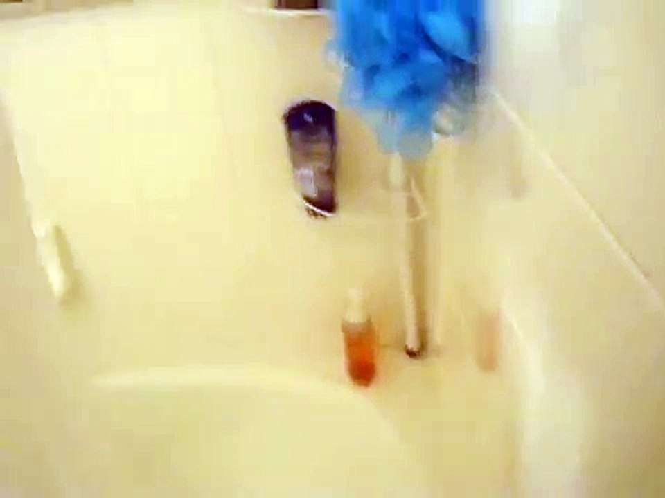 Kitten Taking a Bath