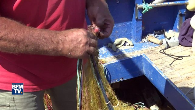 La mer a connu d’inquiétants records de température cette année