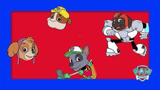 #PAWPATROL TEEN TITANS GO: Painting Outfits Animation Titans Patrol