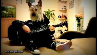 Happy Birthday Rock Song Dog playing guitar Funny Greeting Card Human Dog