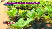 'Green Challenge' goes viral in Telangana