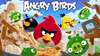 Angry Birds In Real Life new